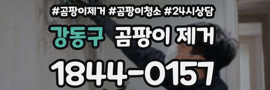 강동구 곰팡이 제거