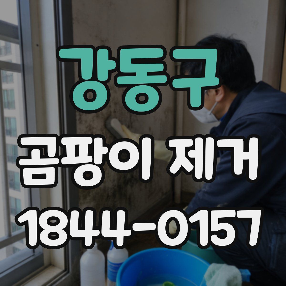 강동구 곰팡이 제거