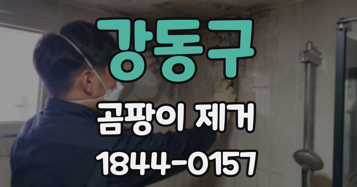 강동구 곰팡이 제거