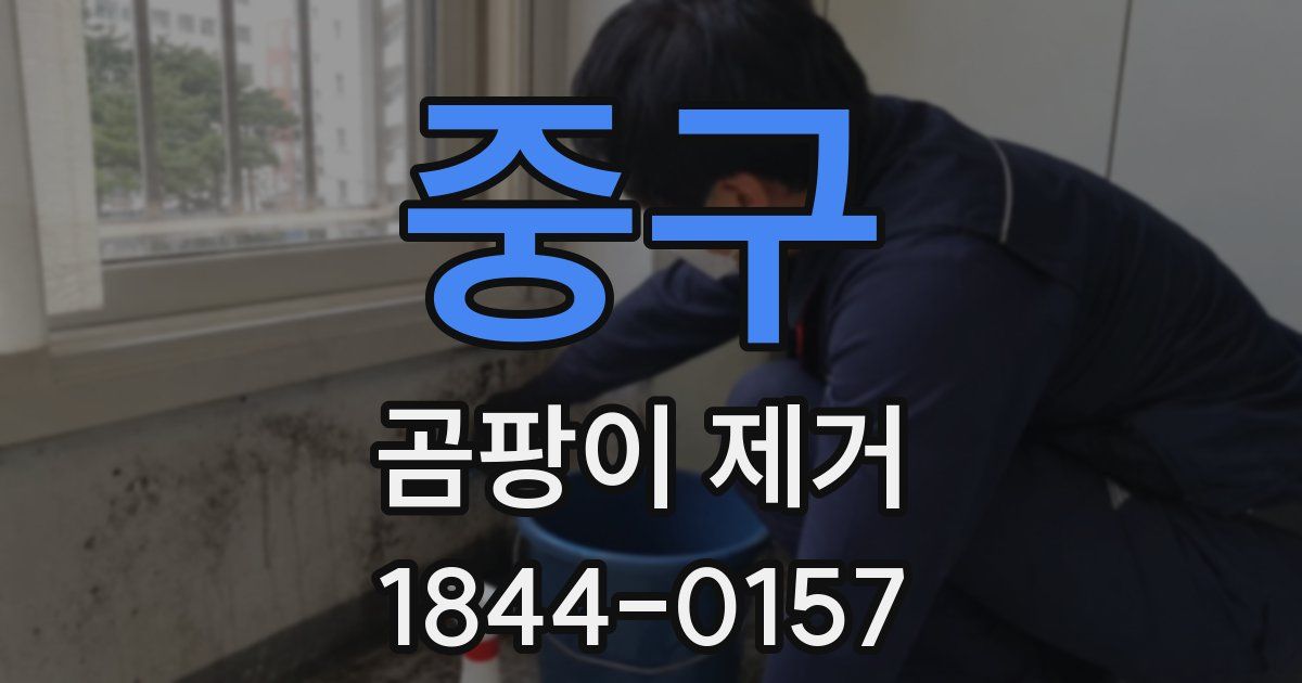 중구 곰팡이 제거