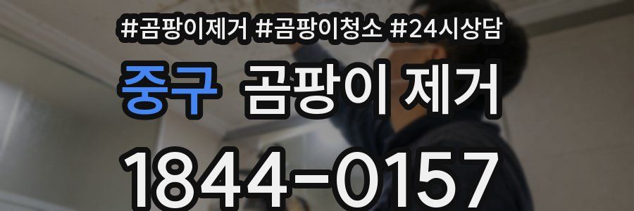 중구 곰팡이 제거