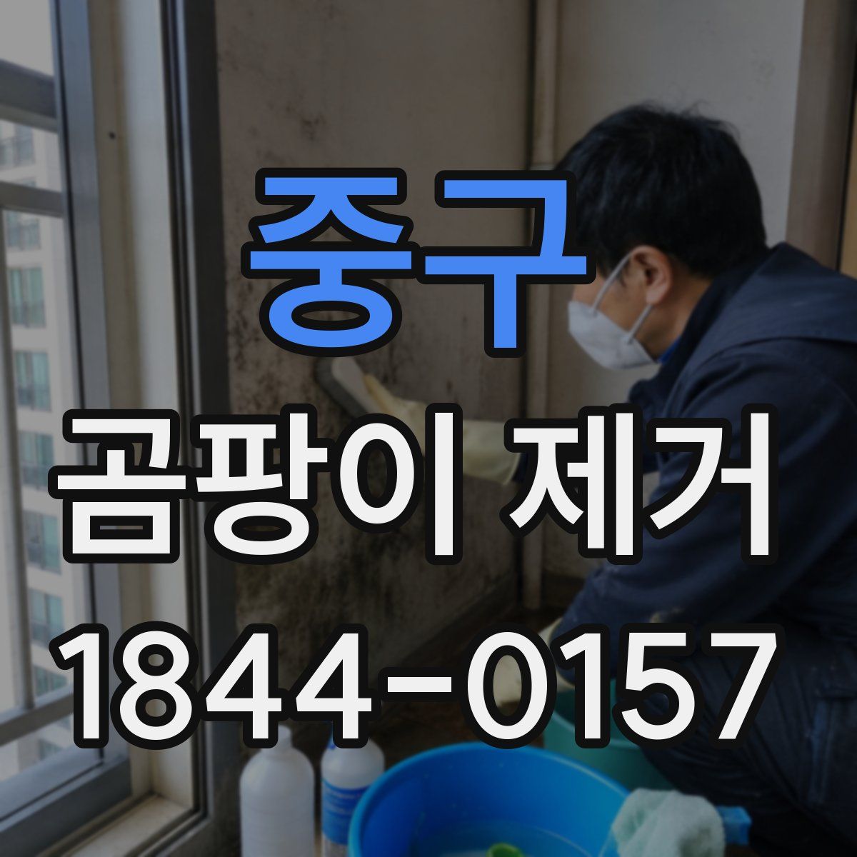 중구 곰팡이 제거