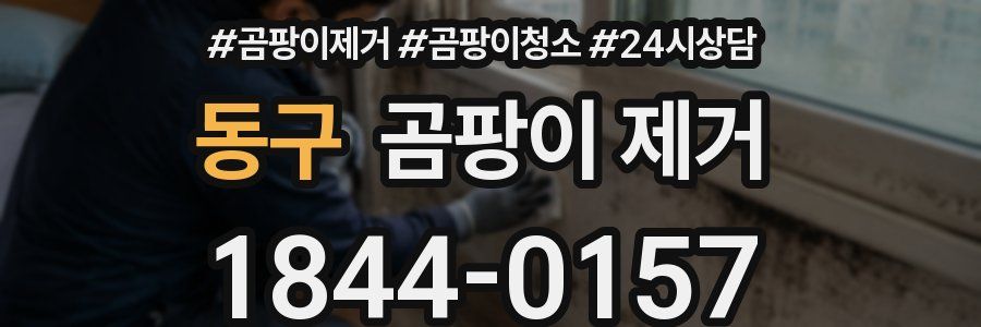 동구 곰팡이 제거
