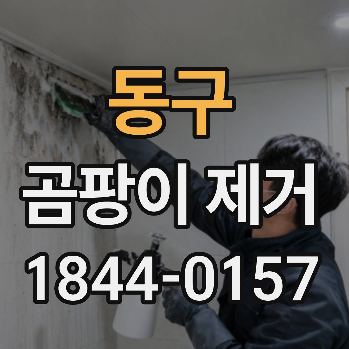 동구 곰팡이 제거