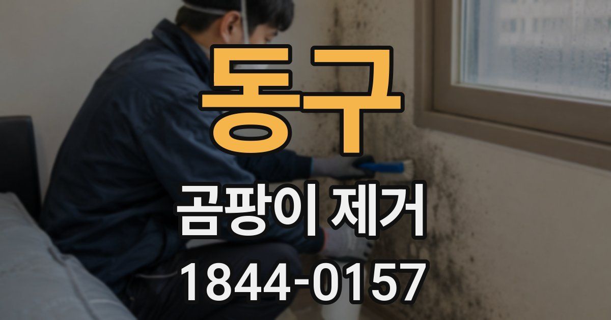동구 곰팡이 제거