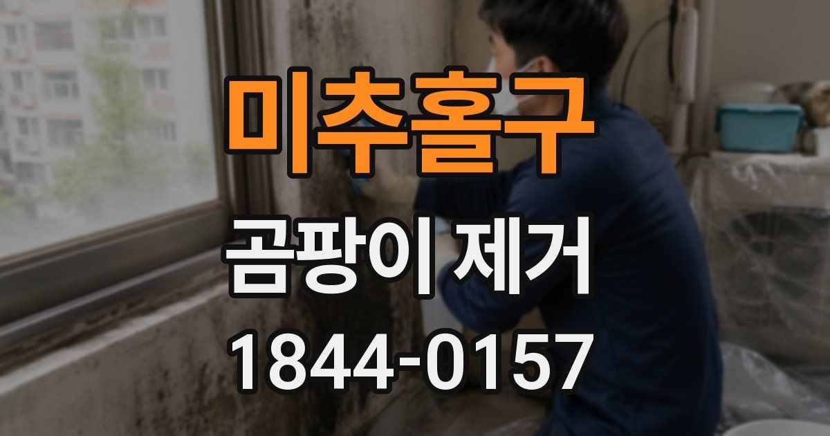 미추홀구 곰팡이 제거