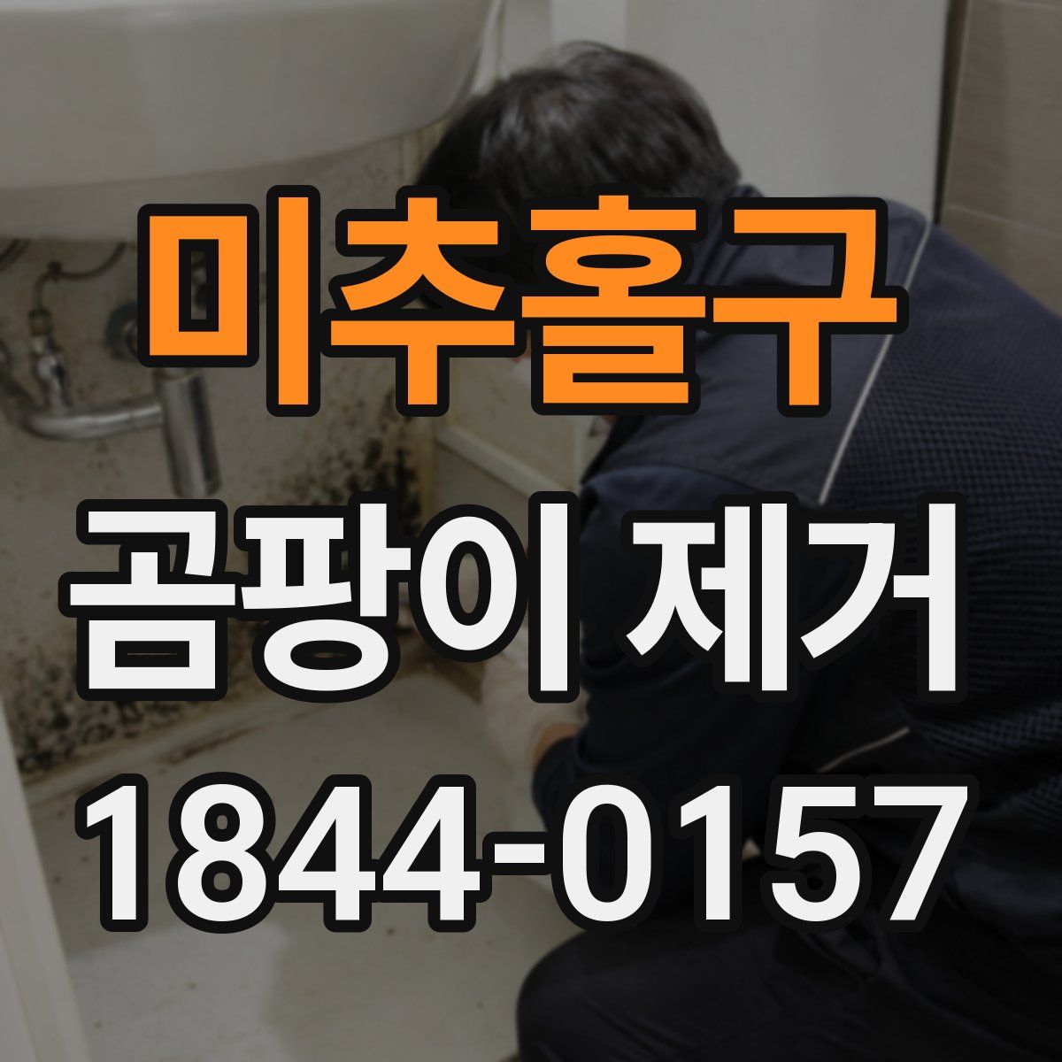 미추홀구 곰팡이 제거