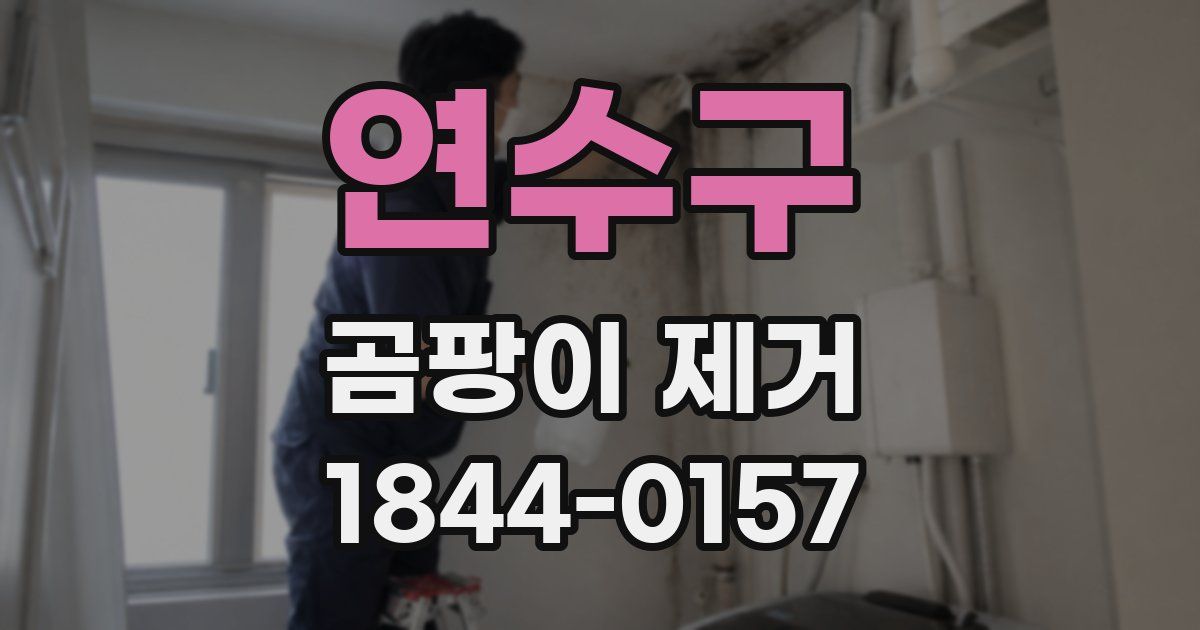 연수구 곰팡이 제거