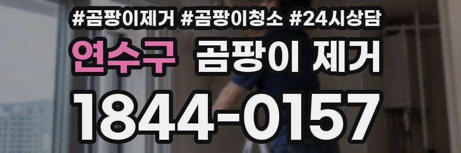 연수구 곰팡이 제거