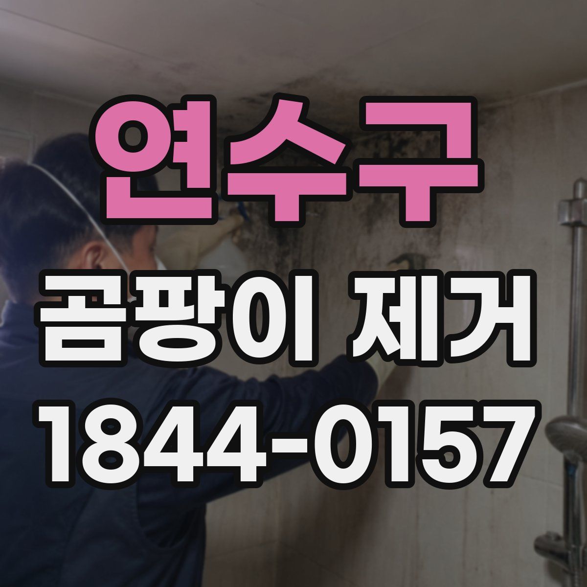 연수구 곰팡이 제거