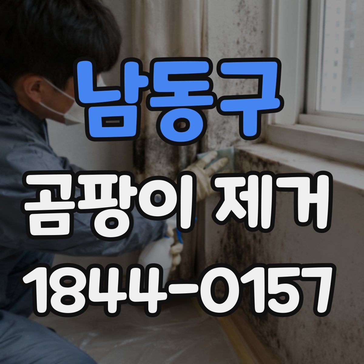 남동구 곰팡이 제거