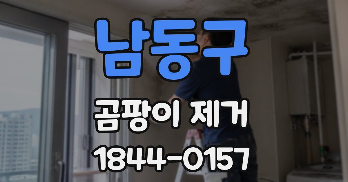 남동구 곰팡이 제거