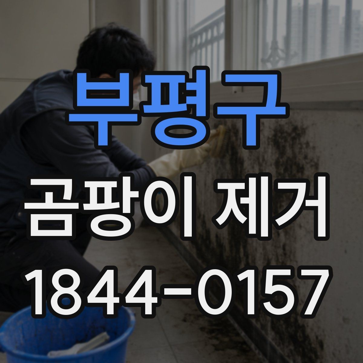 부평구 곰팡이 제거 결로 생기기 쉬운 창문 주변 살펴보기