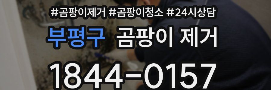 부평구 곰팡이 제거