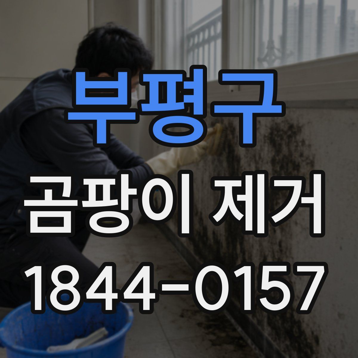 부평구 곰팡이 제거