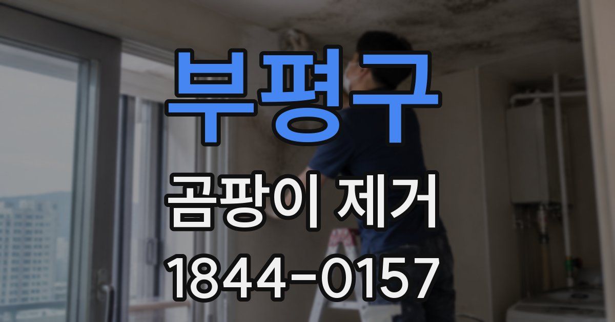 부평구 곰팡이 제거