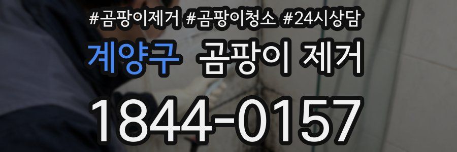 계양구 곰팡이 제거