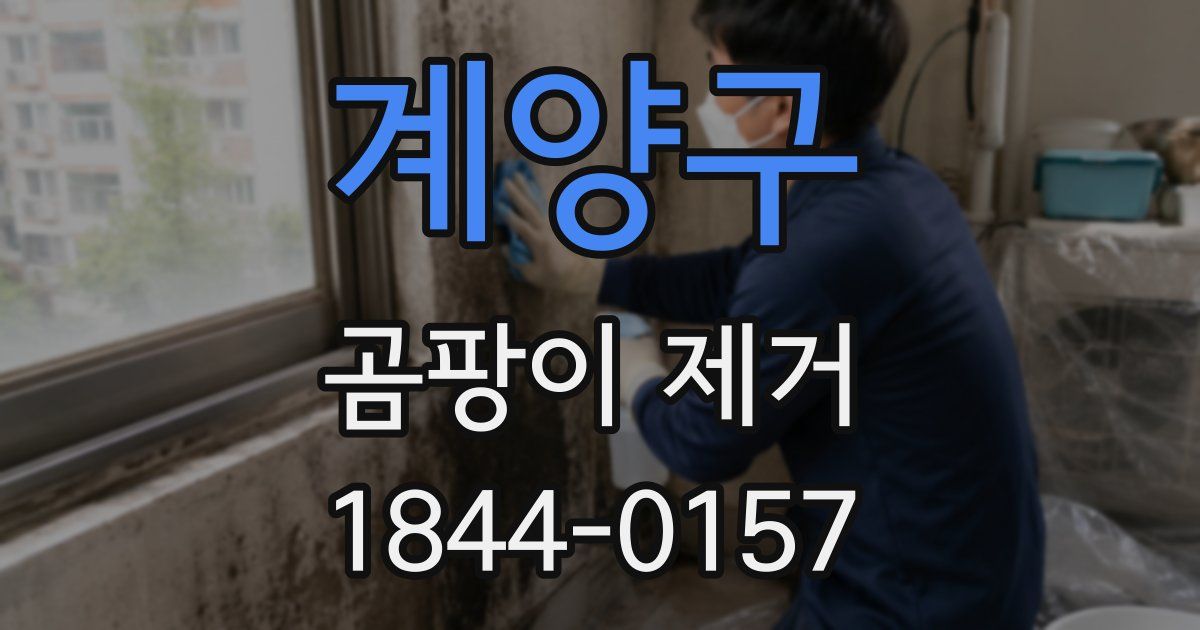 계양구 곰팡이 제거
