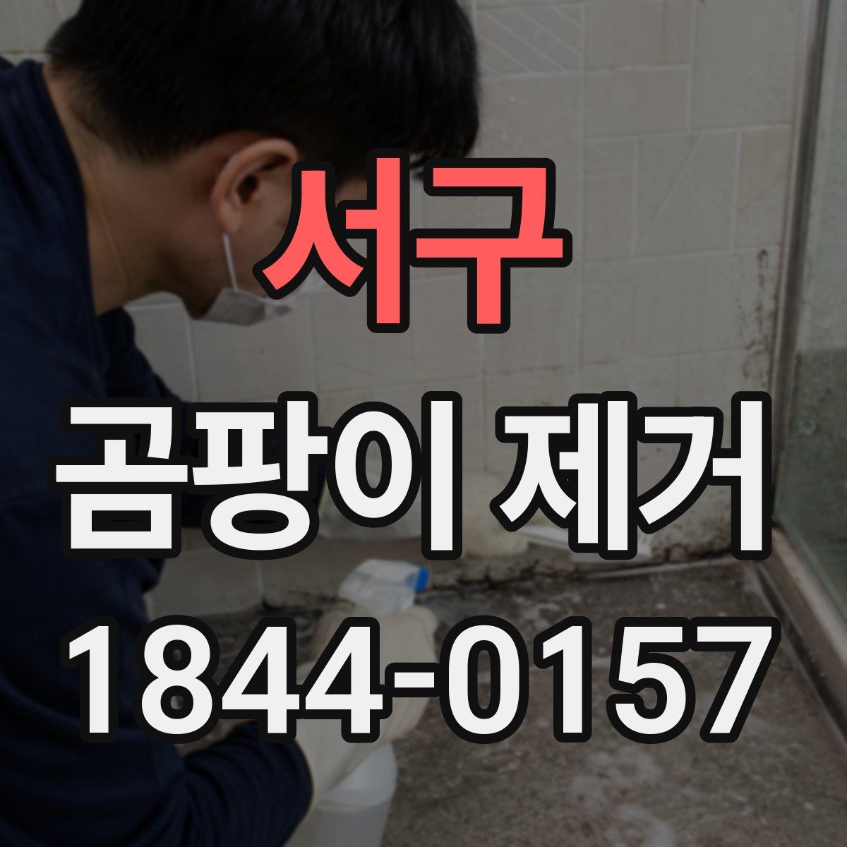 서구 곰팡이 제거