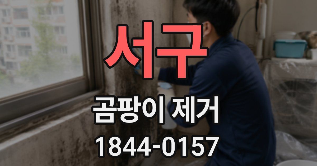 서구 곰팡이 제거