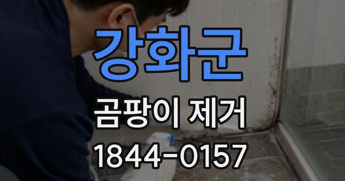 강화군 곰팡이 제거