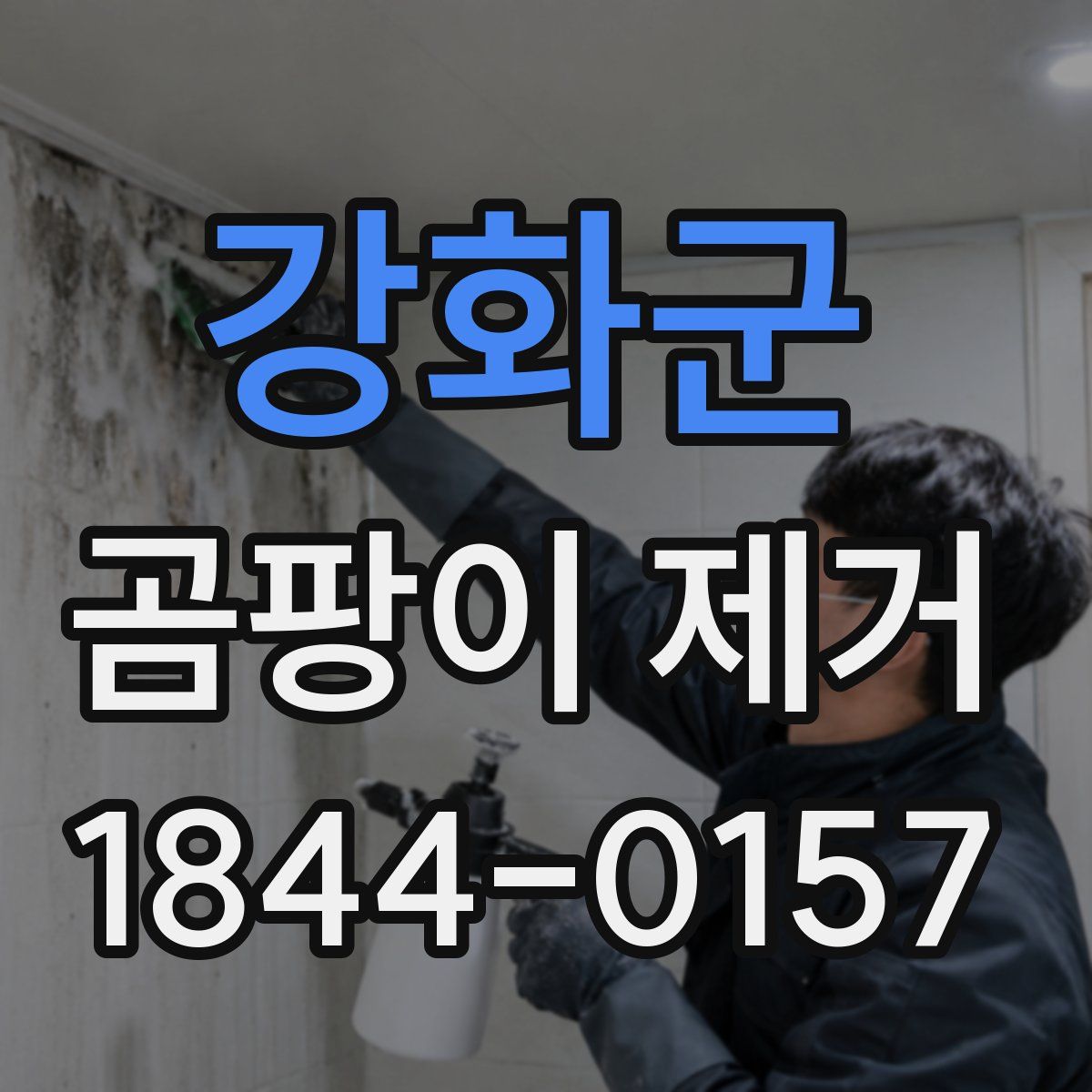 강화군 곰팡이 제거