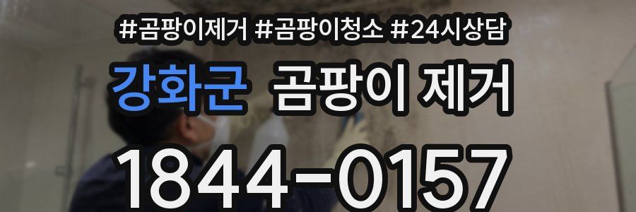 강화군 곰팡이 제거