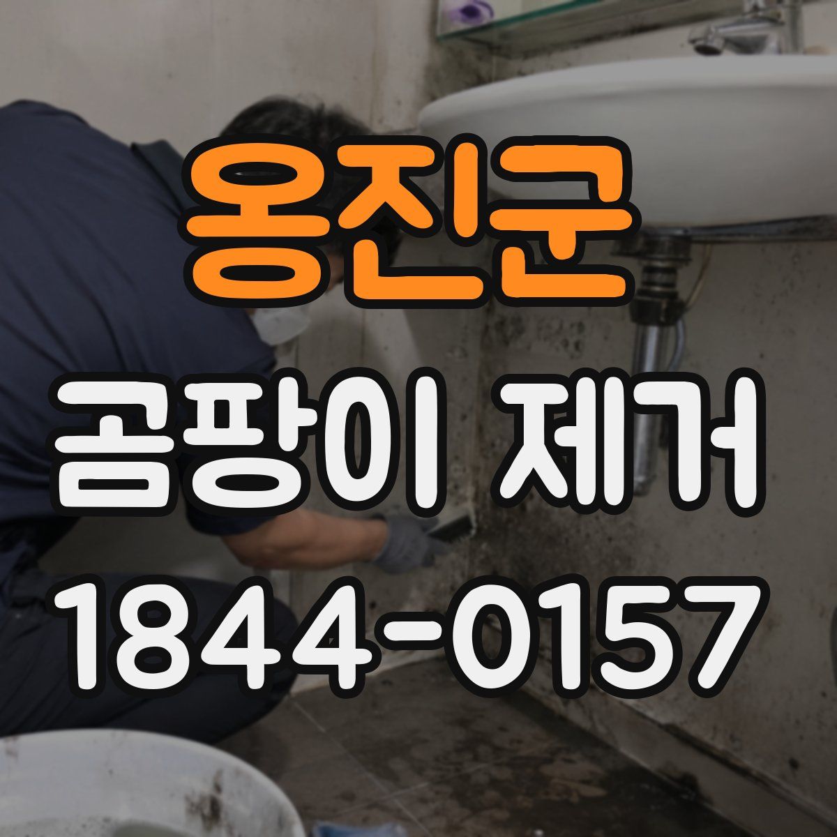 옹진군 곰팡이 제거
