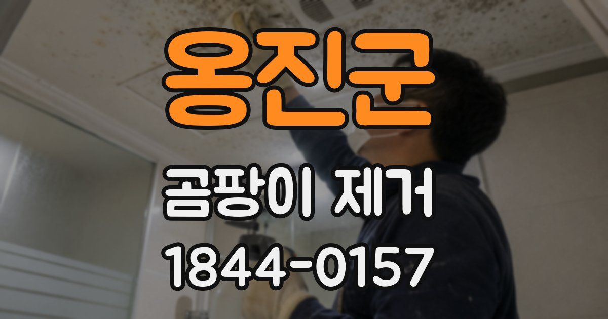 옹진군 곰팡이 제거