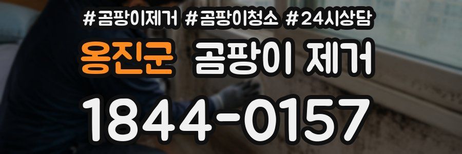옹진군 곰팡이 제거