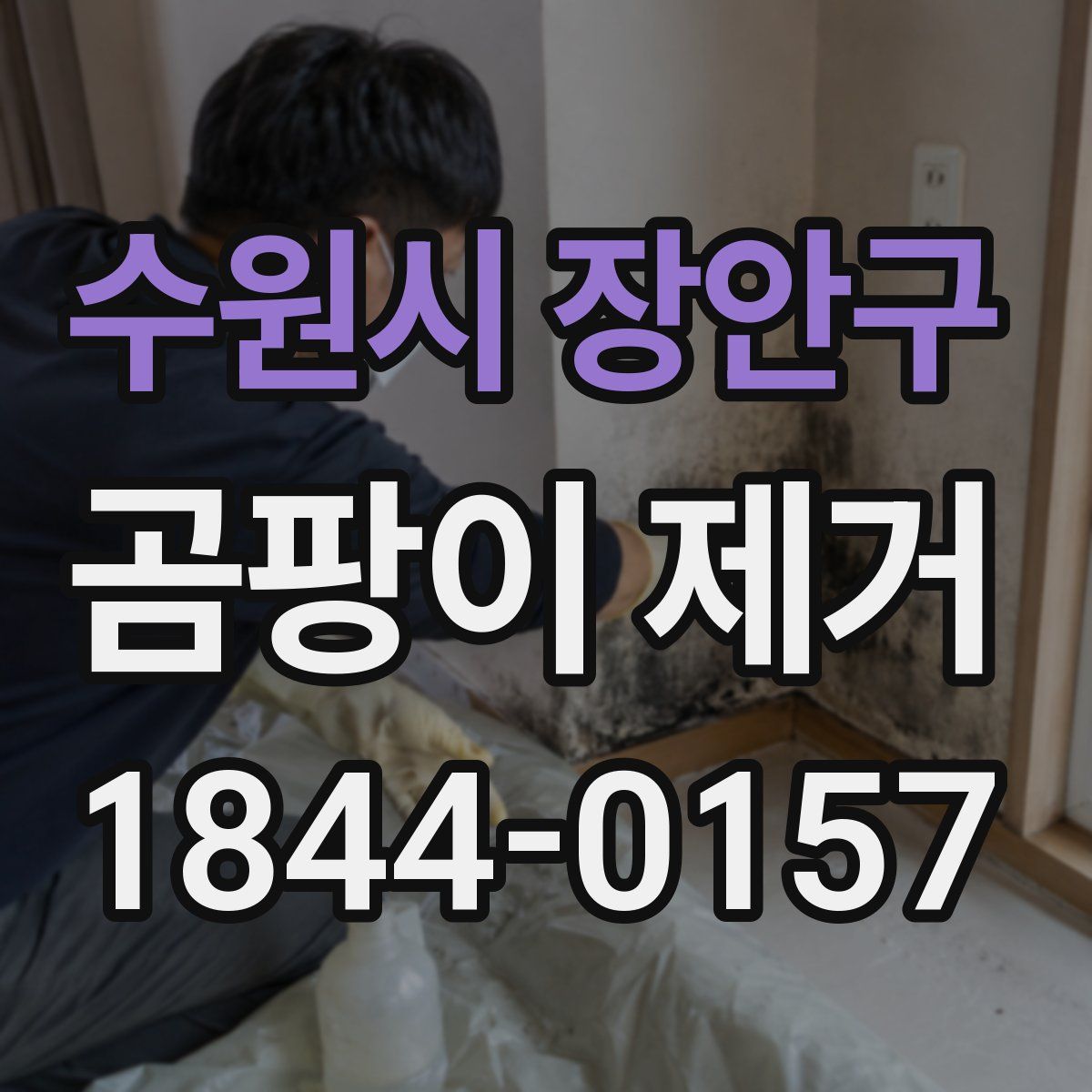 수원시 장안구 곰팡이 제거