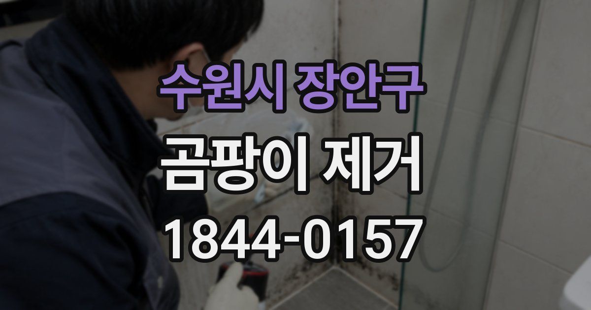 수원시 장안구 곰팡이 제거