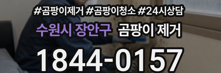 수원시 장안구 곰팡이 제거