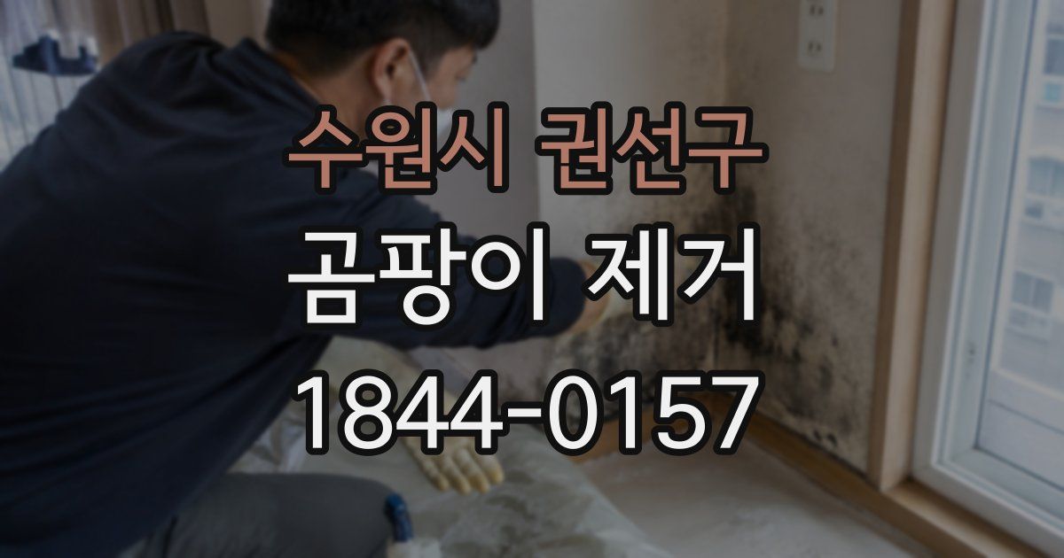 수원시 권선구 곰팡이 제거