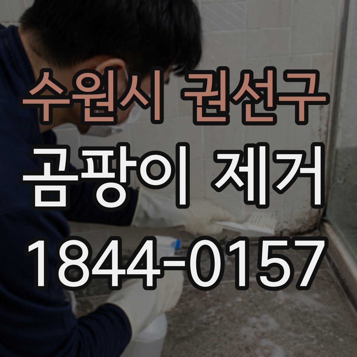 수원시 권선구 곰팡이 제거