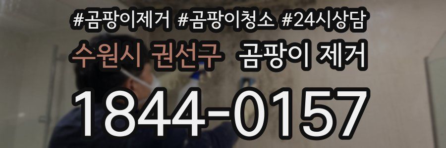 수원시 권선구 곰팡이 제거