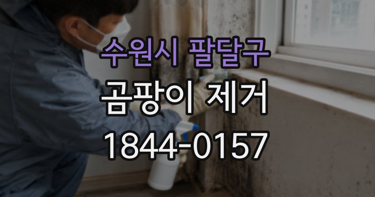 수원시 팔달구 곰팡이 제거