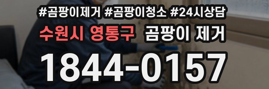 수원시 영통구 곰팡이 제거