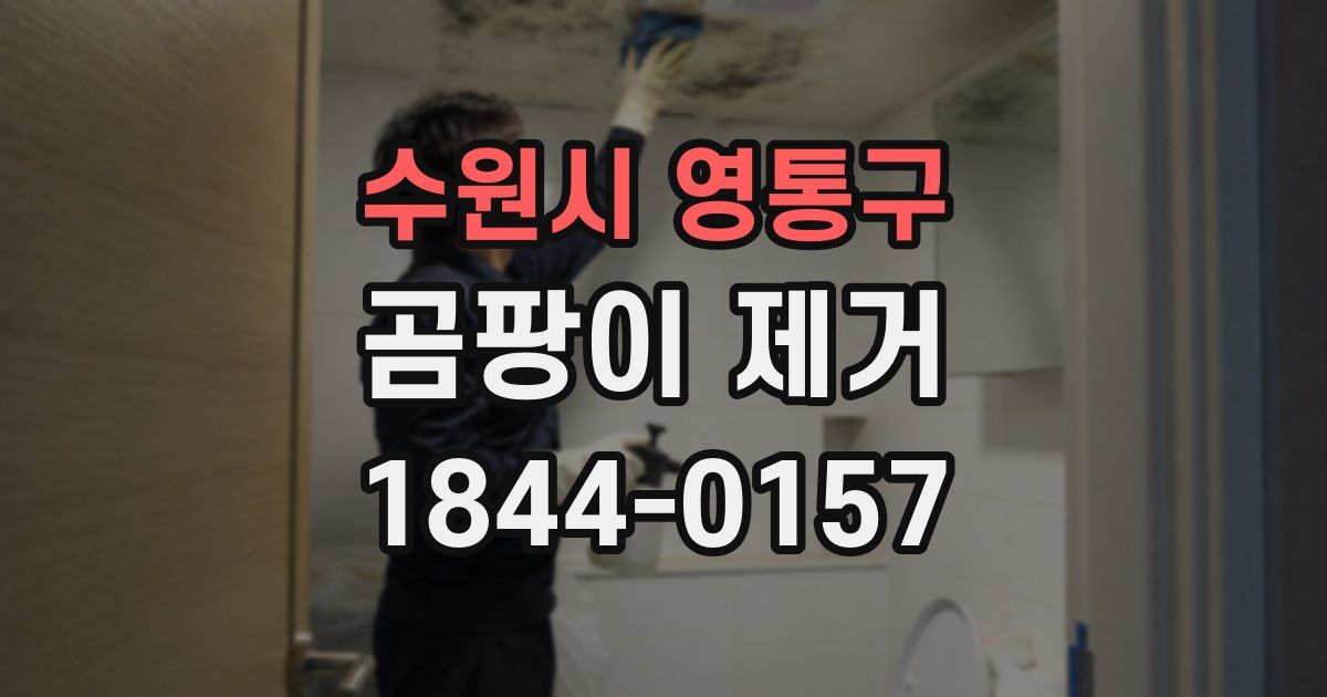 수원시 영통구 곰팡이 제거