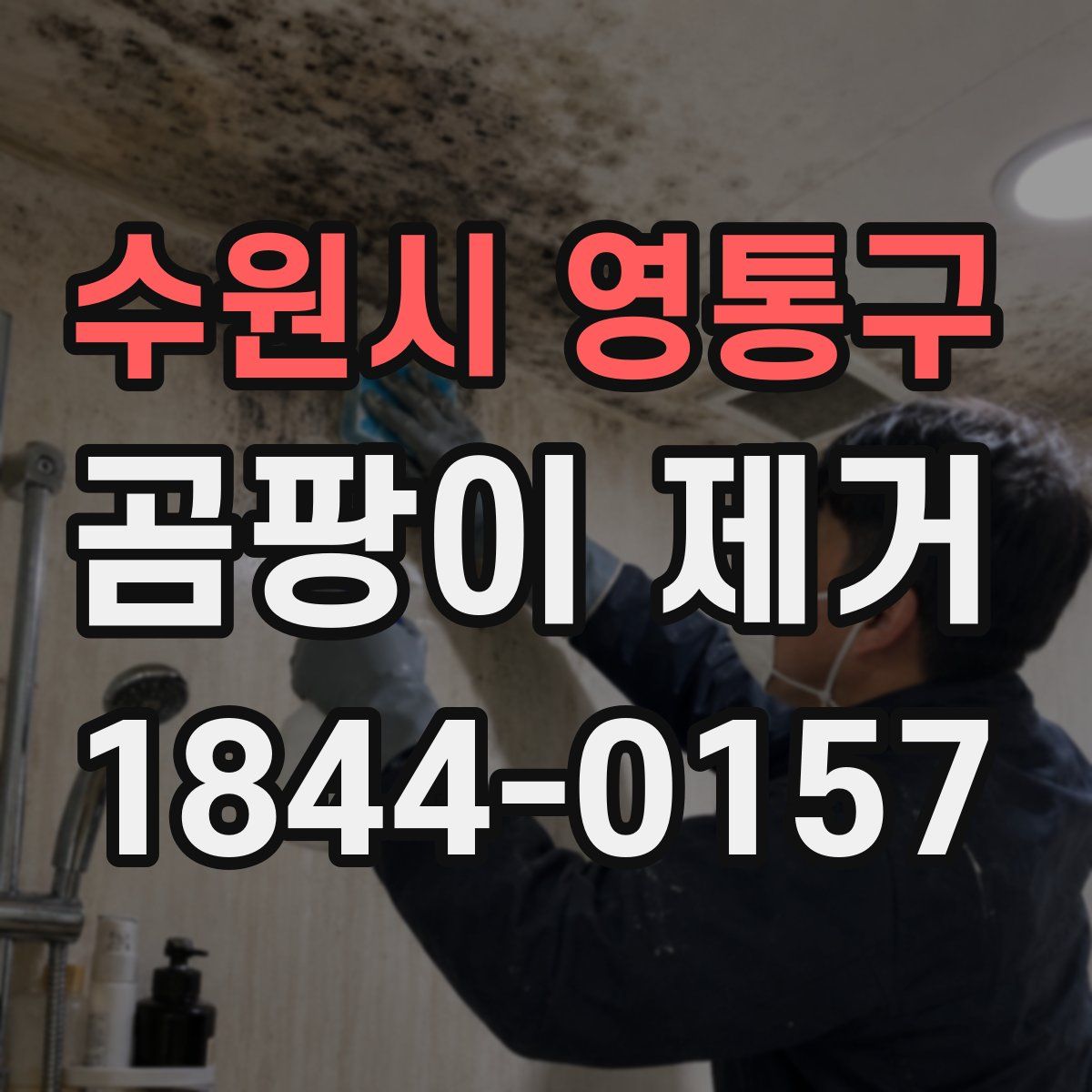 수원시 영통구 곰팡이 제거