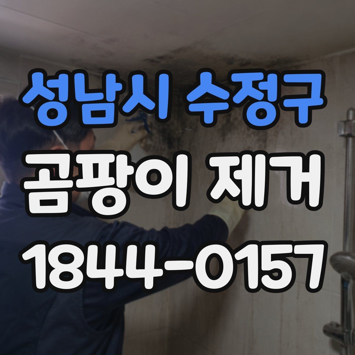 성남시 수정구 곰팡이 제거 욕실 인접 벽면 손상 줄이는 팁