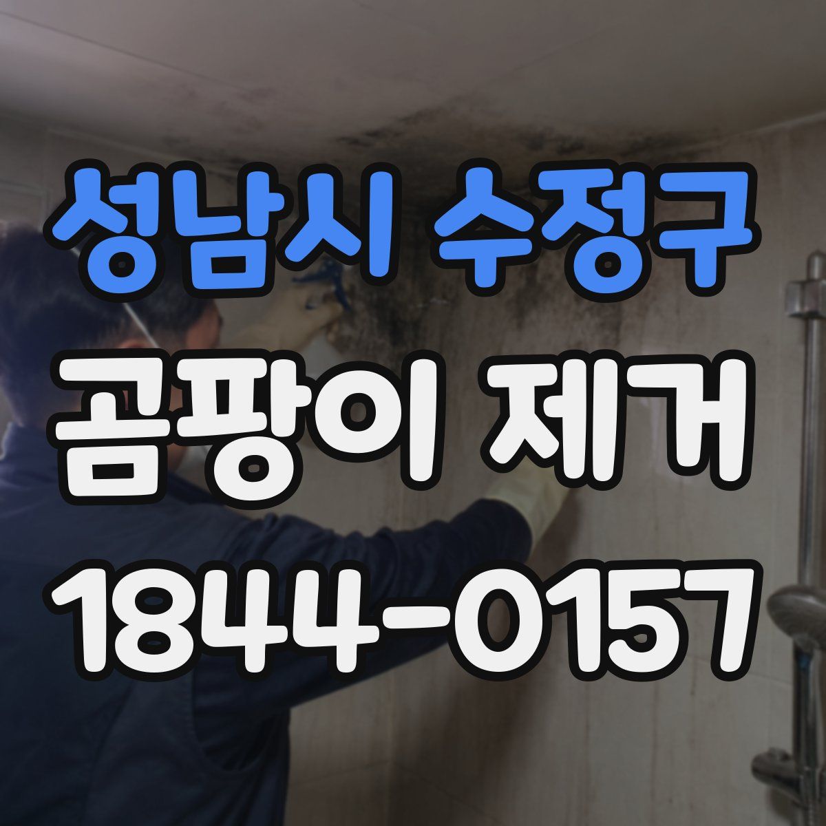 성남시 수정구 곰팡이 제거