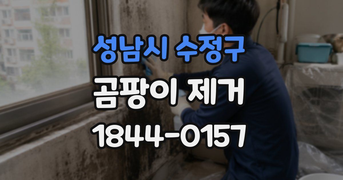 성남시 수정구 곰팡이 제거