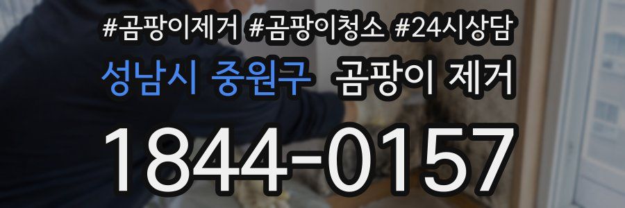 성남시 중원구 곰팡이 제거