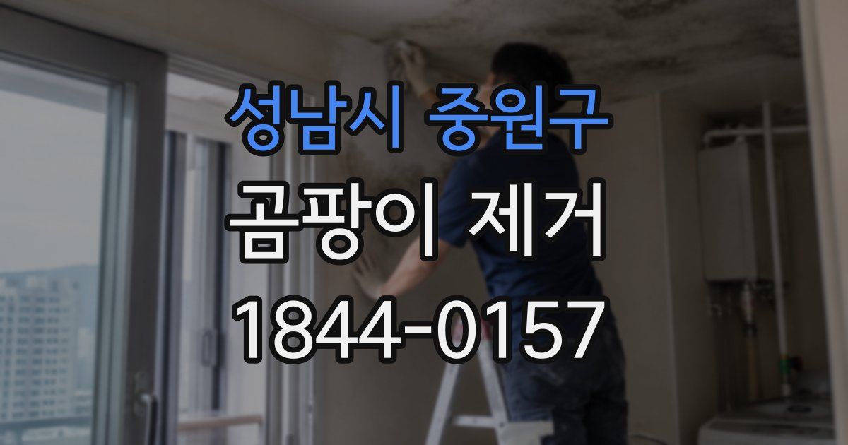 성남시 중원구 곰팡이 제거