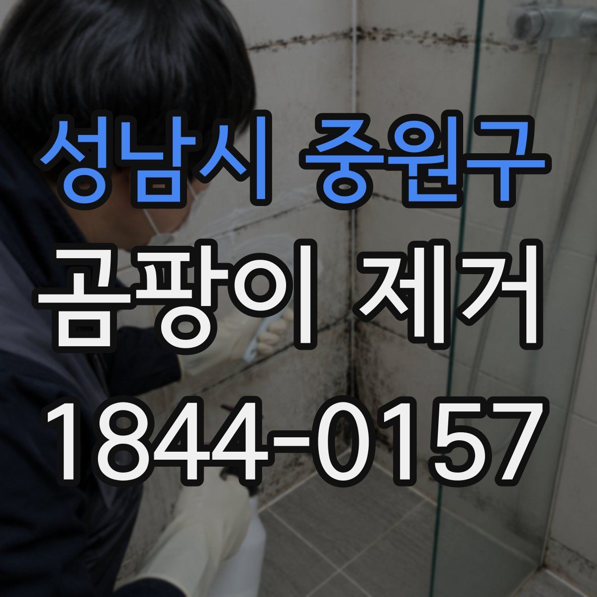 성남시 중원구 곰팡이 제거