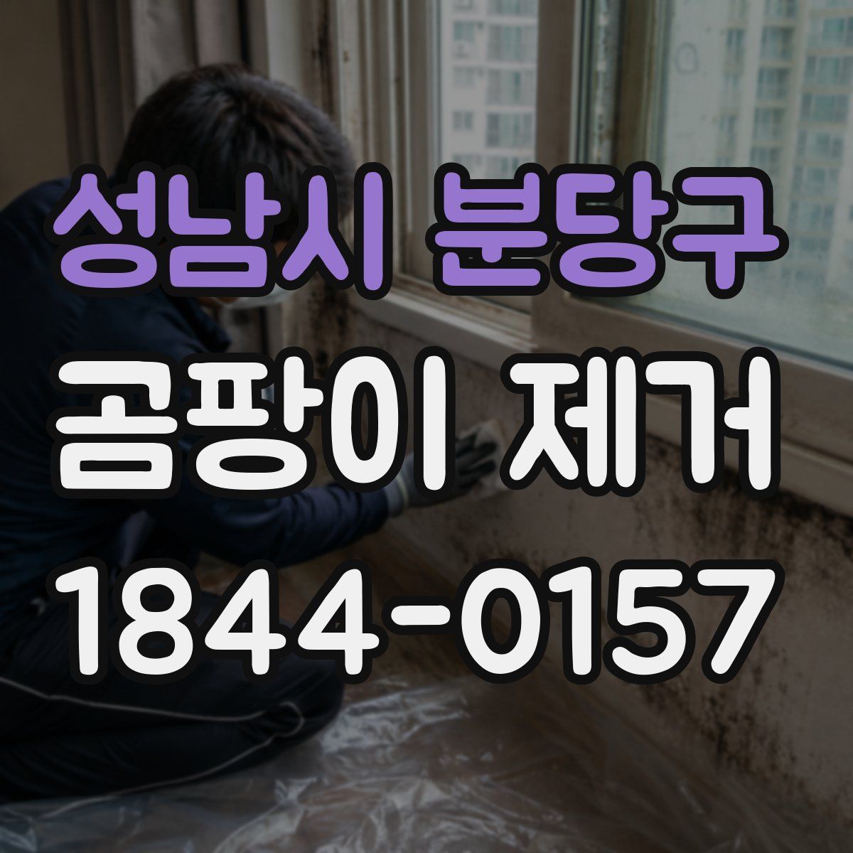 성남시 분당구 곰팡이 제거