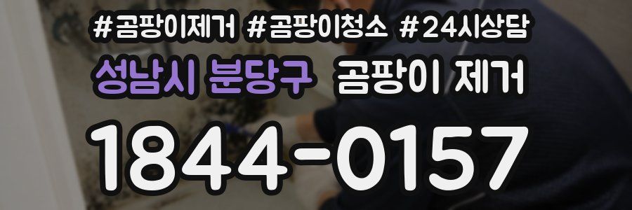 성남시 분당구 곰팡이 제거