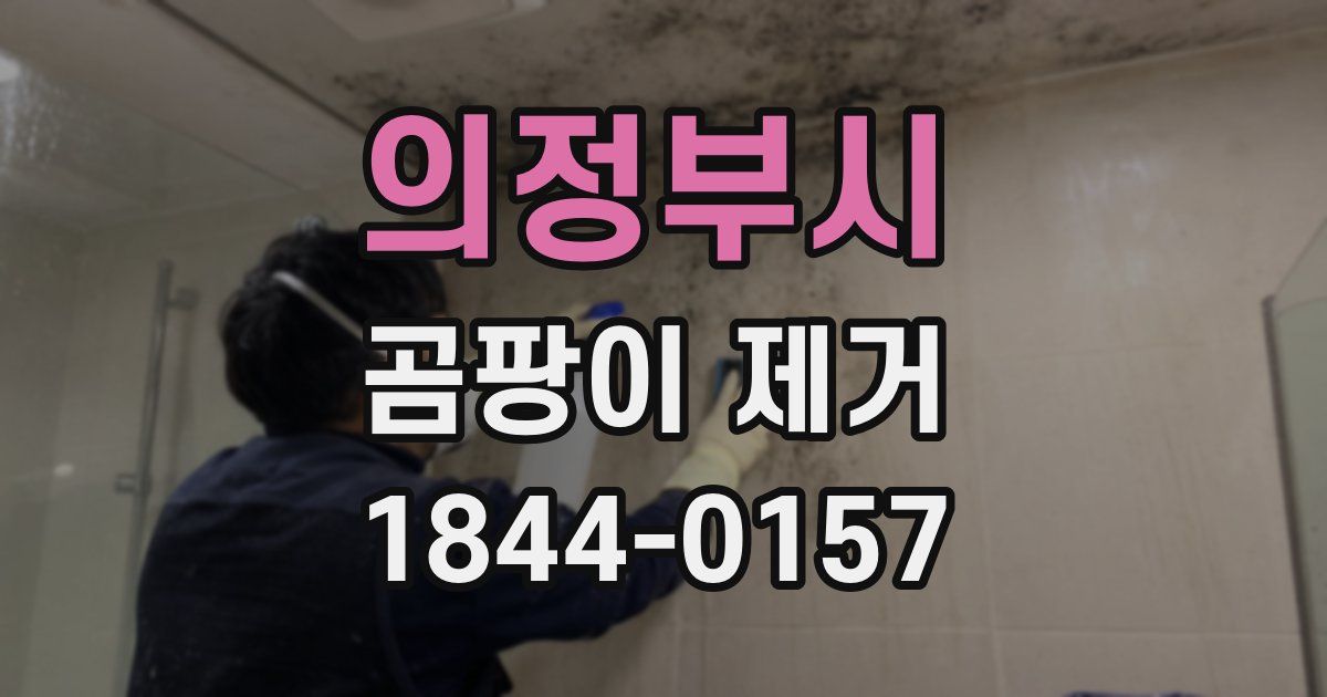 의정부시 곰팡이 제거