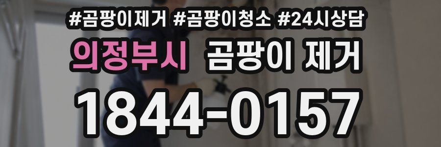 의정부시 곰팡이 제거